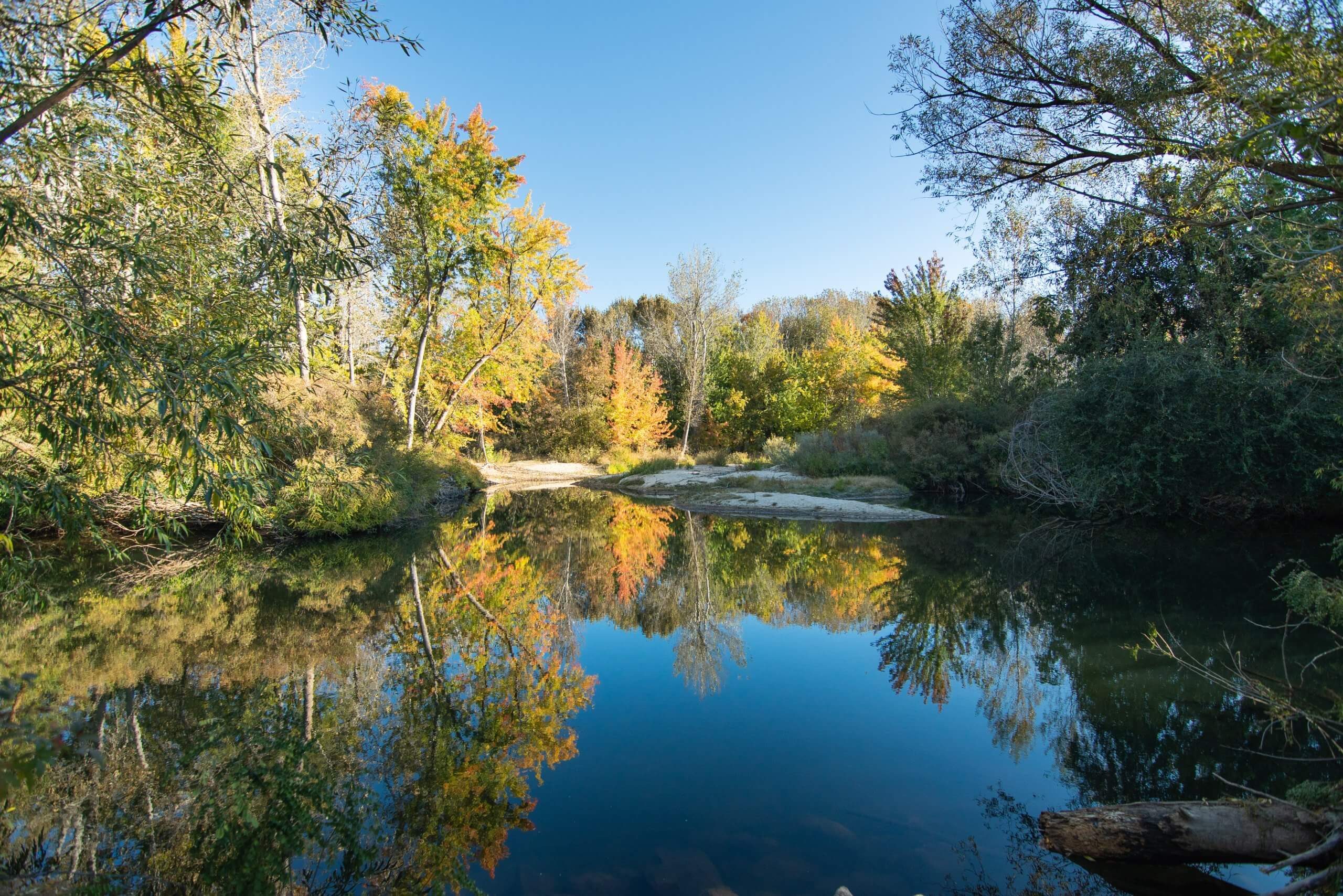 A calm pond surrounded by green, leafy trees at Eagle Island State Park.