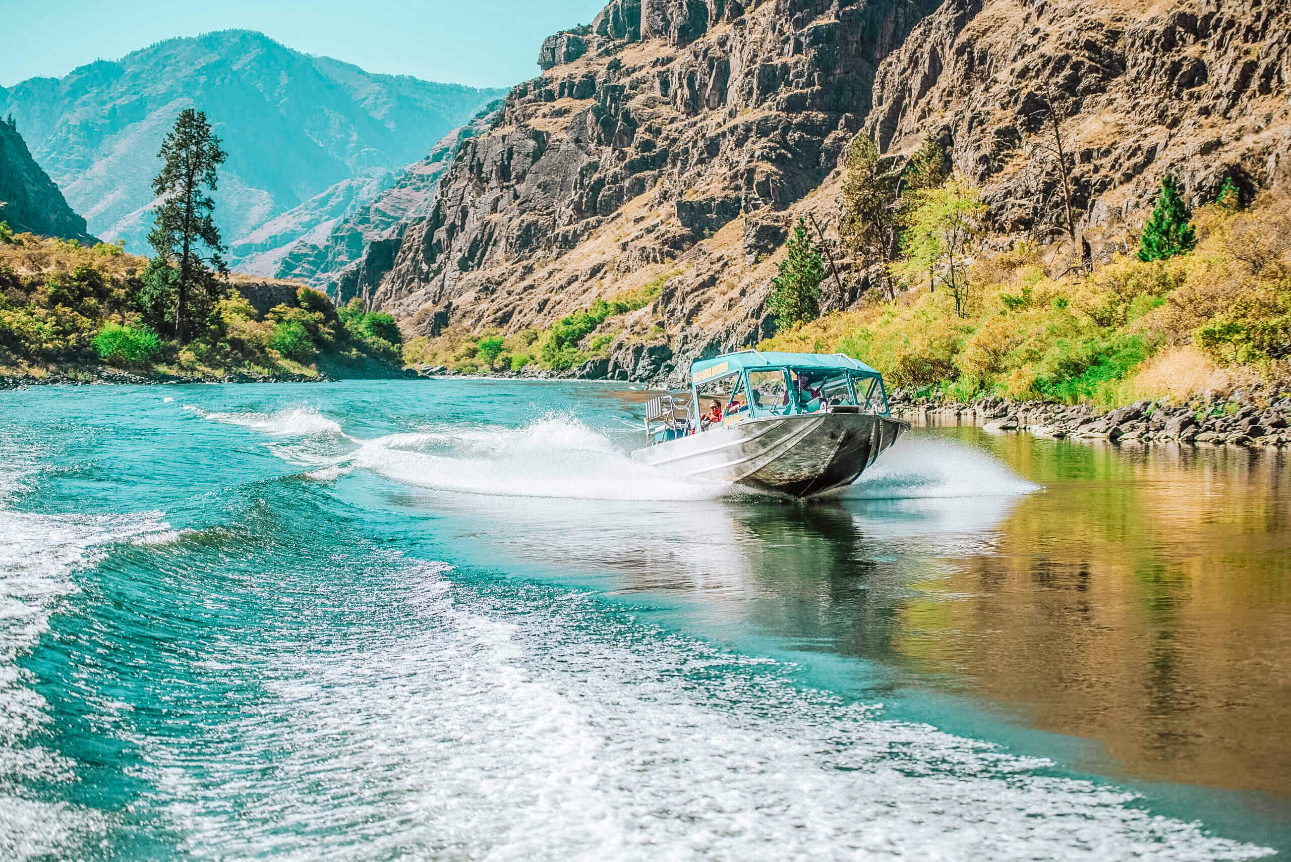 A blue jet boat cruising down a river between two canyon walls.