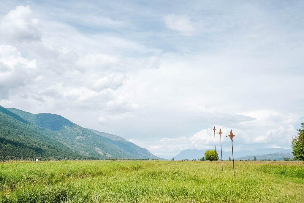 A sprawling field with tree-covered mountains off to the left.