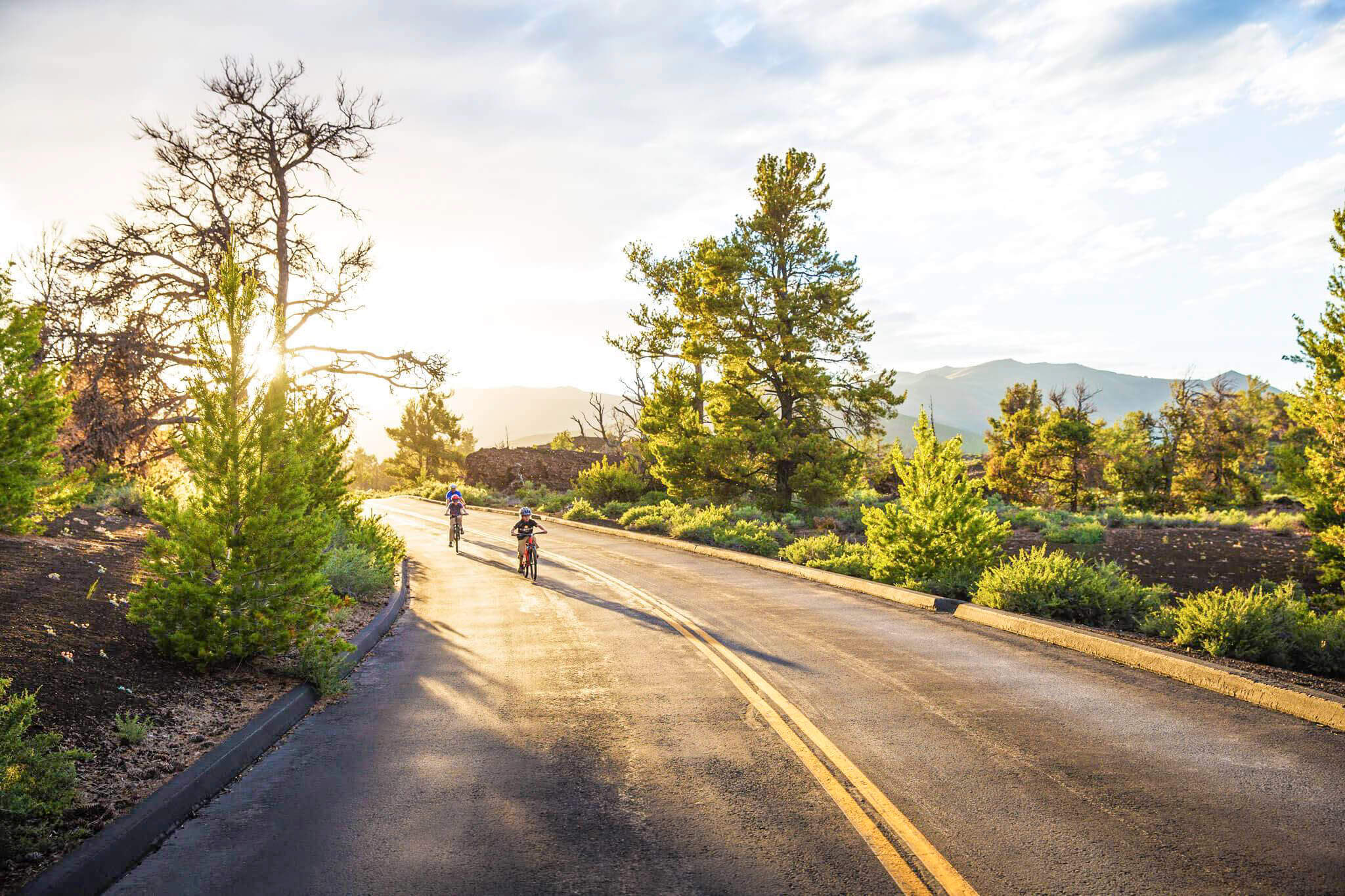 People riding bikes on a road lined with trees at Craters of the Moon National Monument and Preserve.