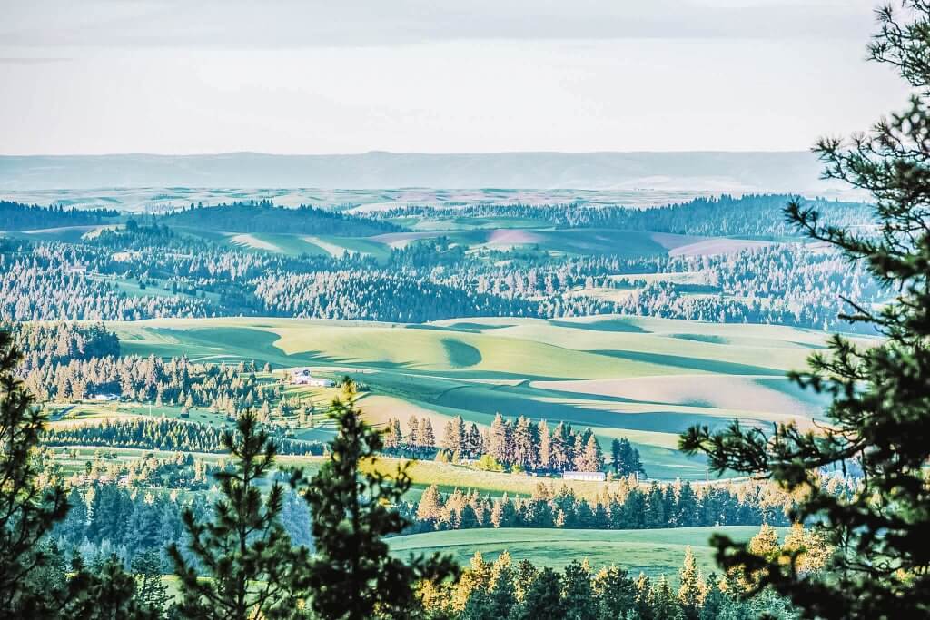 A scenic overlook of rolling green hills covered with trees visible as far as the eye can see.