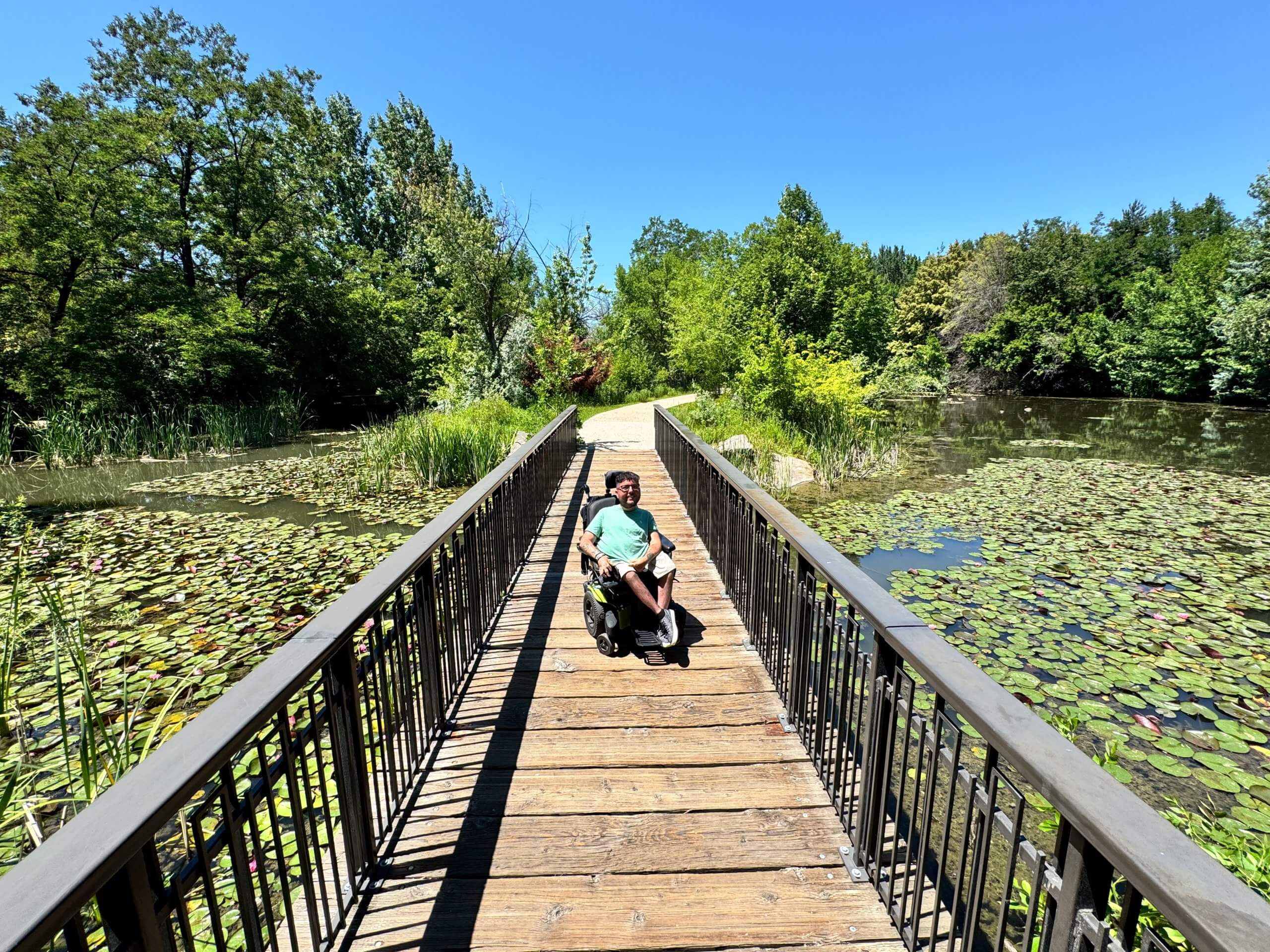 A man in a wheelchair sits on a wooden plank, raised pathway, with marshy land on either side.