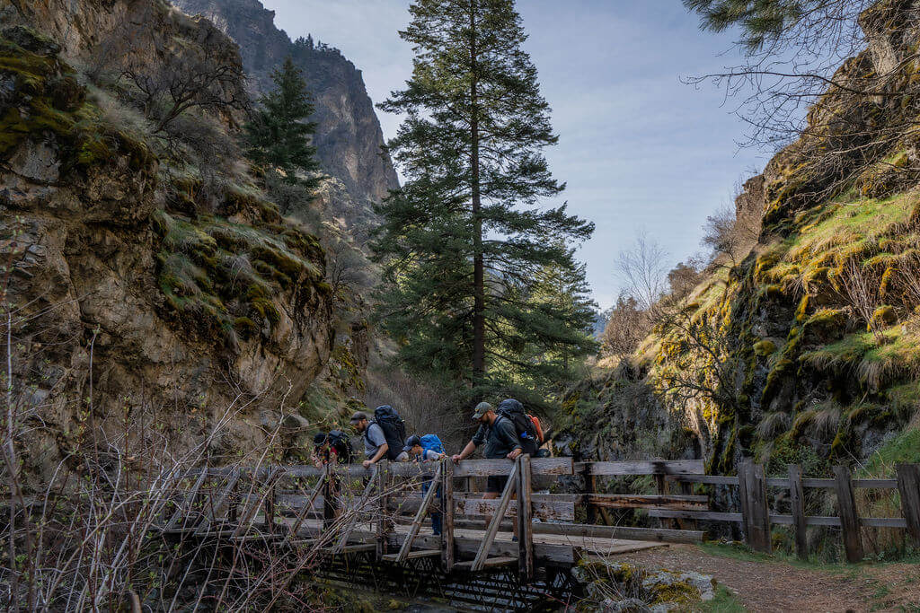 family on a hiking bridge