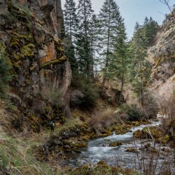 lady hikes on rapid river trail in Riggins.