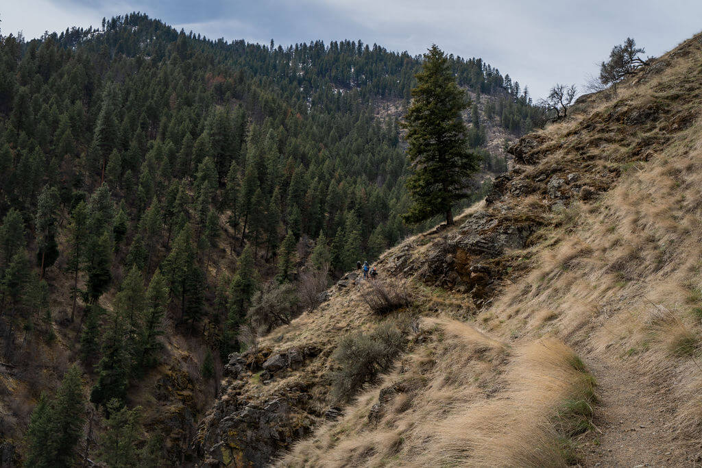 family hikes on mountain trail