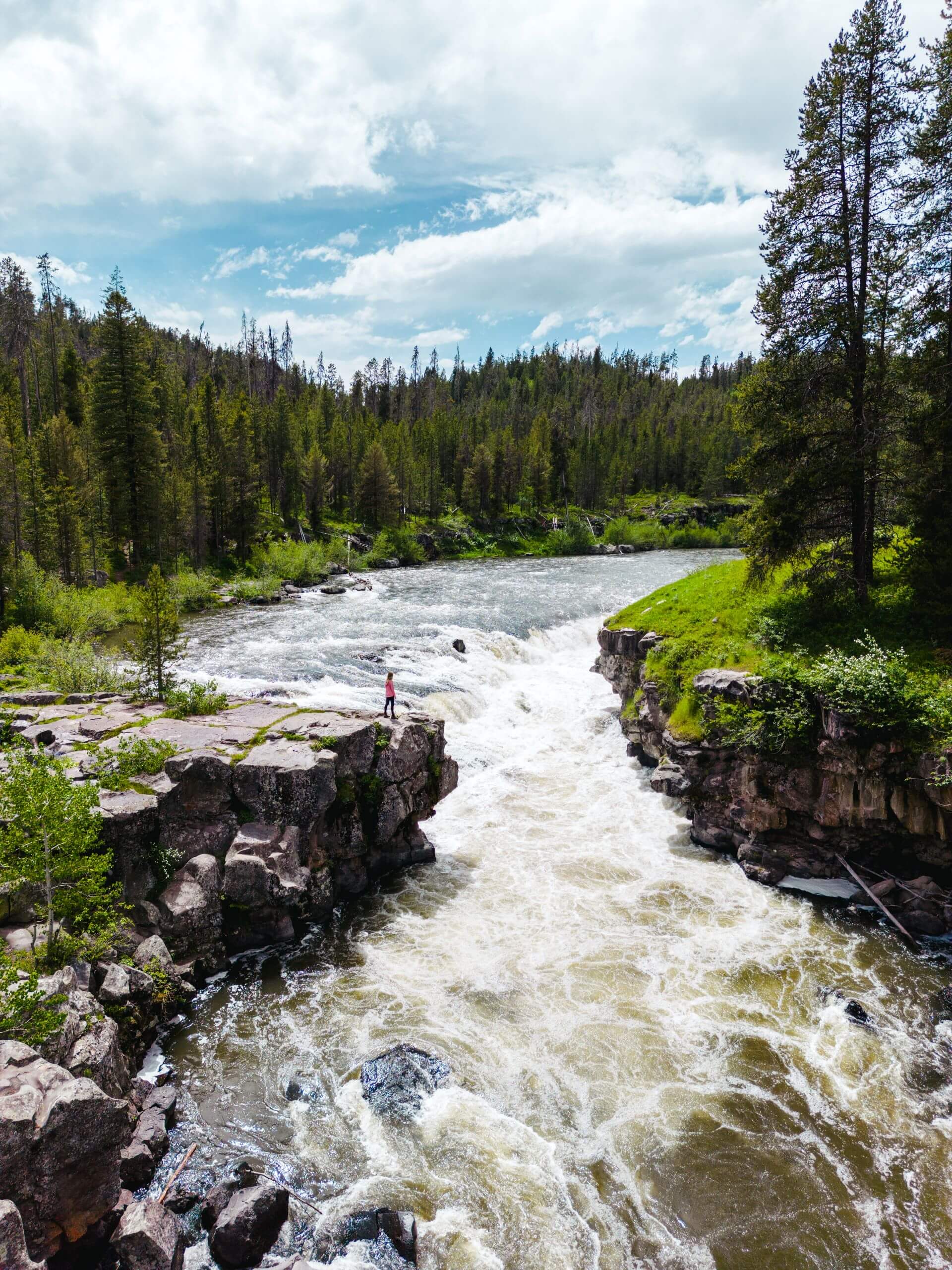 sheep falls