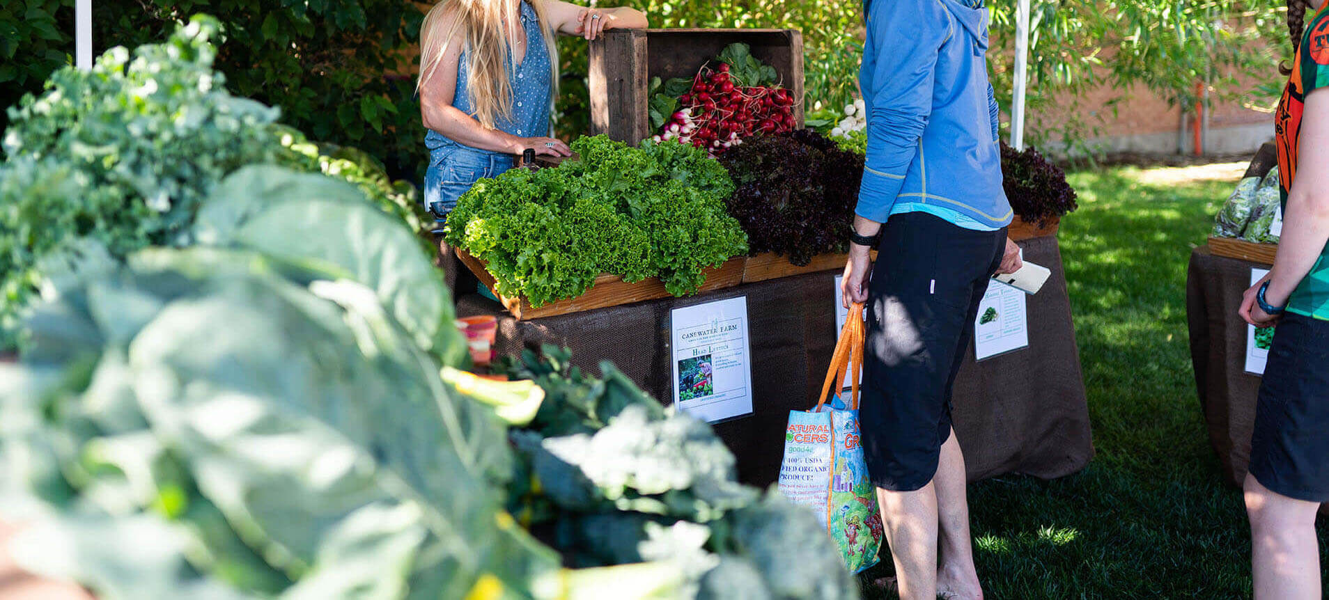 Farmers Markets