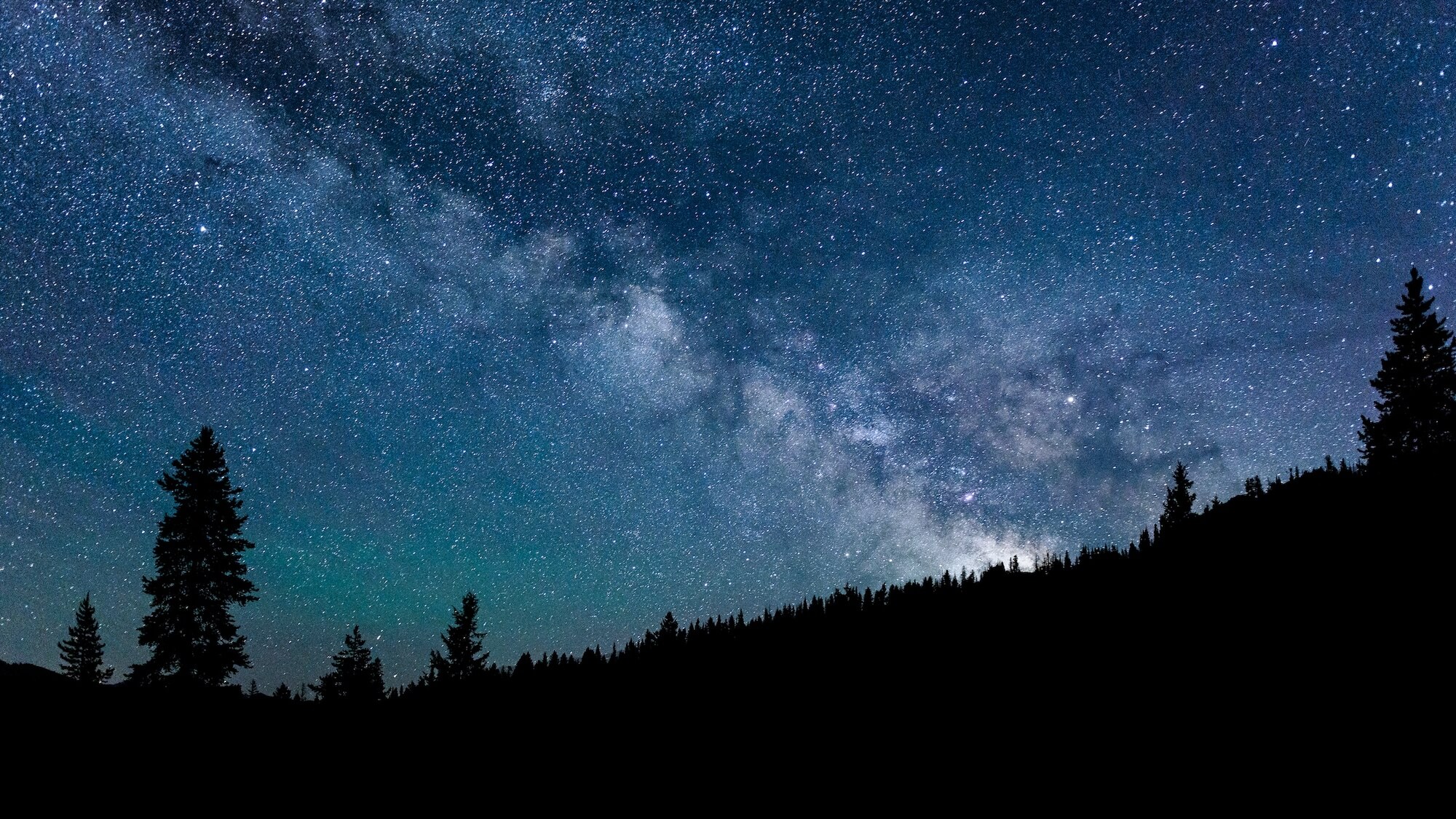 Silhouette of trees along a ridge with the night sky in the background. 