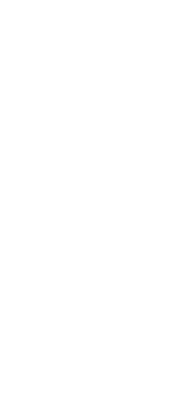 Constellation illustration. 