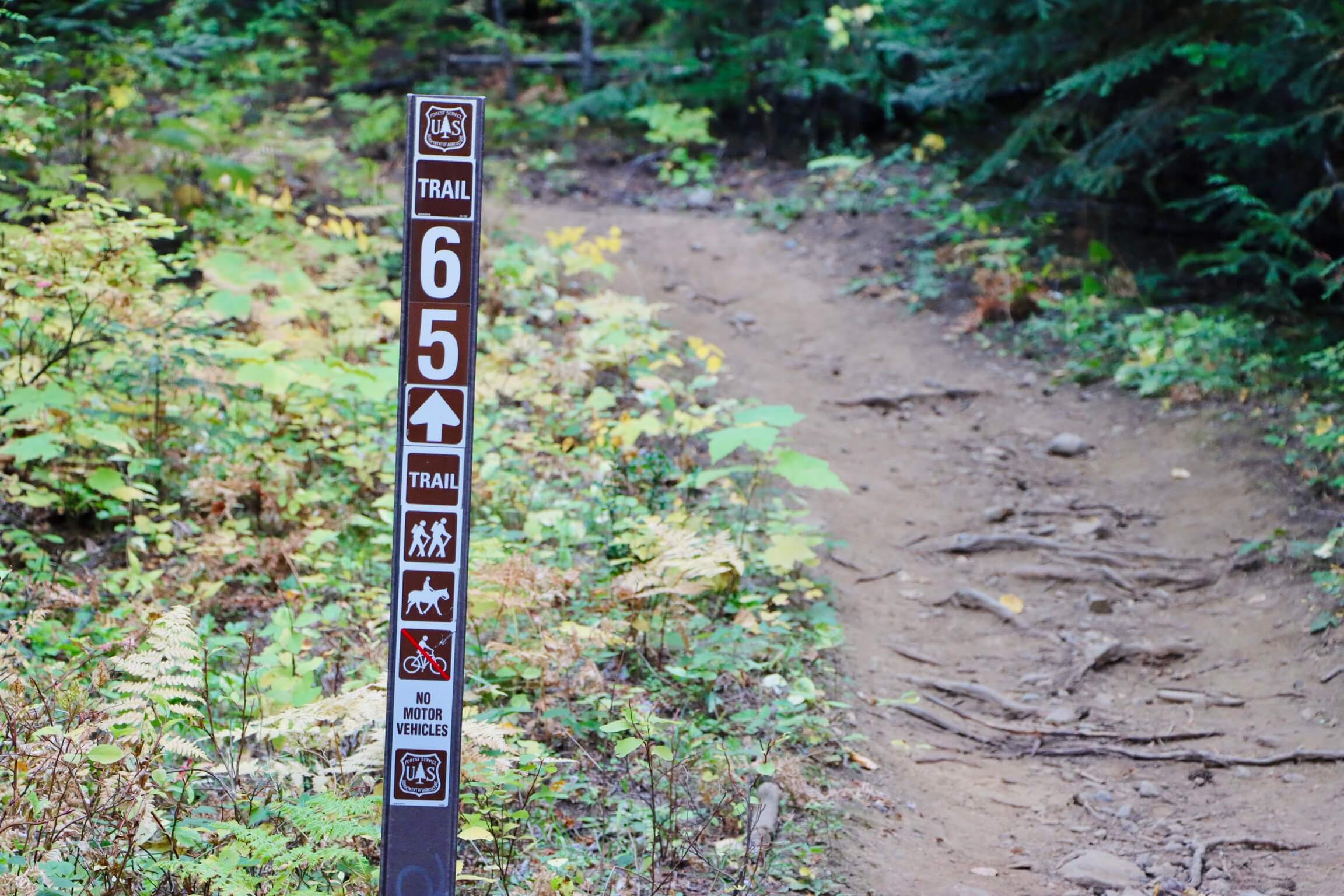 trailhead marker for Scotchman Peak