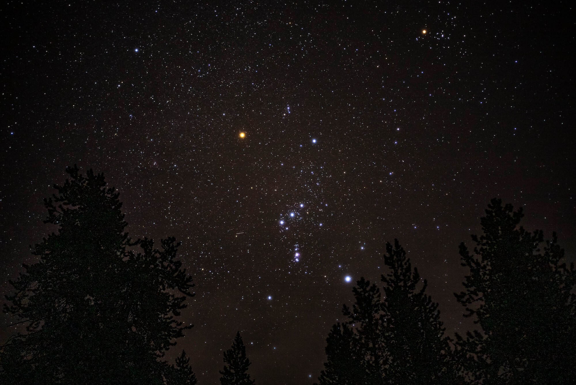 Night sky at Galena Lodge. 