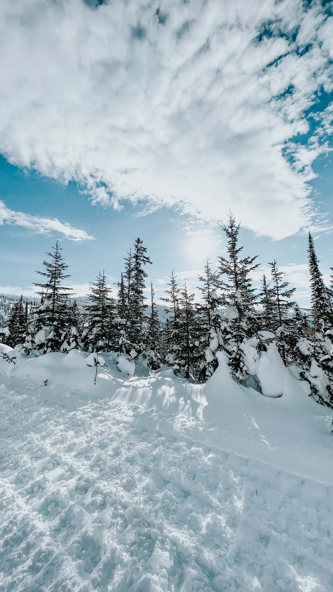 Snow-covered landscape with trees in Selkirk Mountains, ideal for snowmobiling