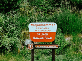 A sign that reads Wagonhammer Picnic Area and trailhead: Salmon-Challis National Forest placed on a grassy hill. 