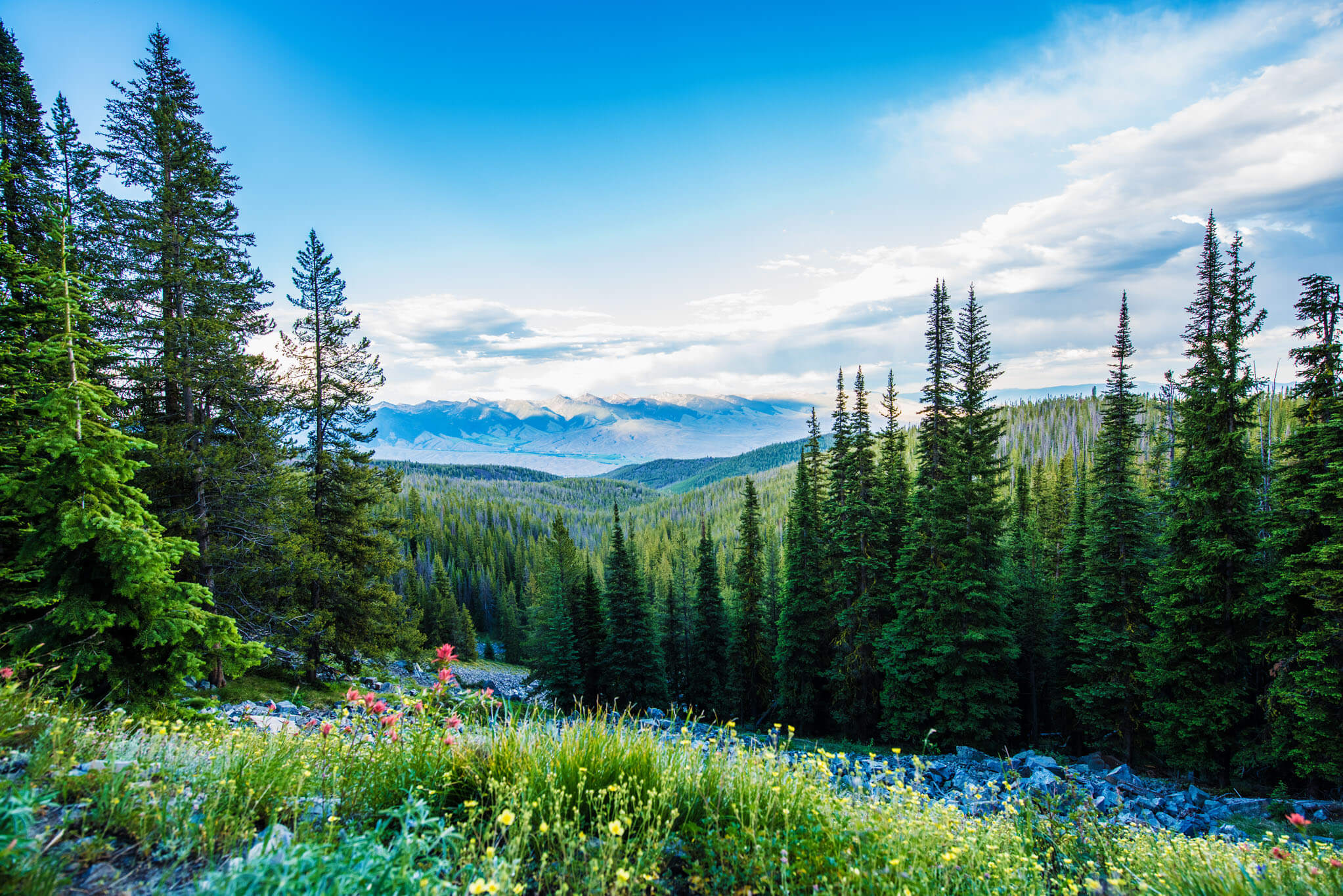 Scenic overlook near Salmon, Idaho showcasing expansive natural views