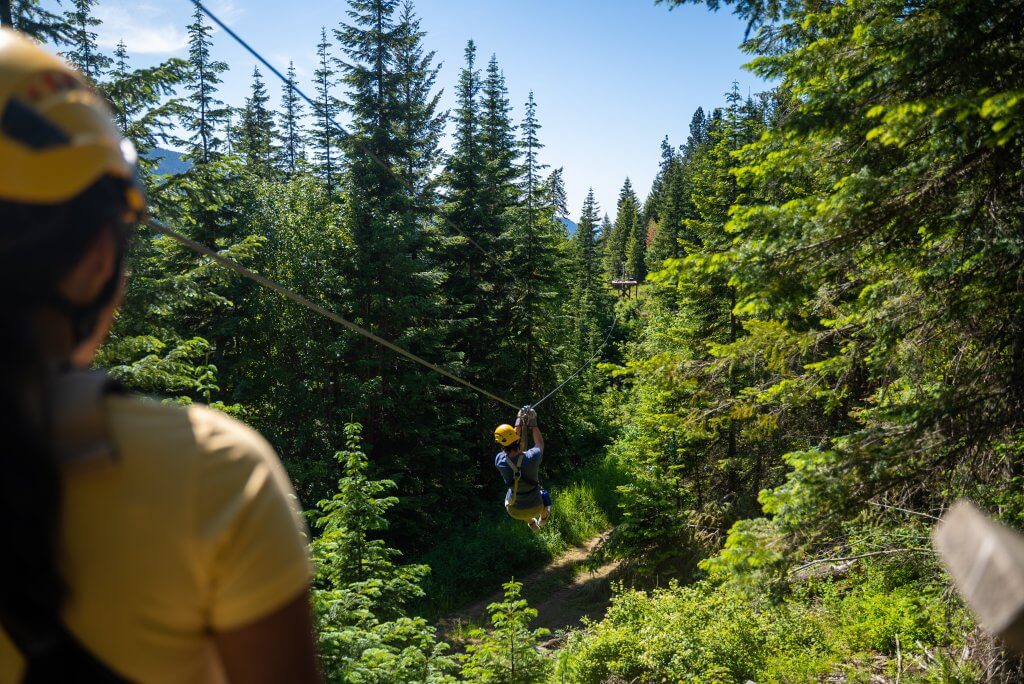 Someone watching a person ziplining through a forest of tall trees at Zip Wallace.