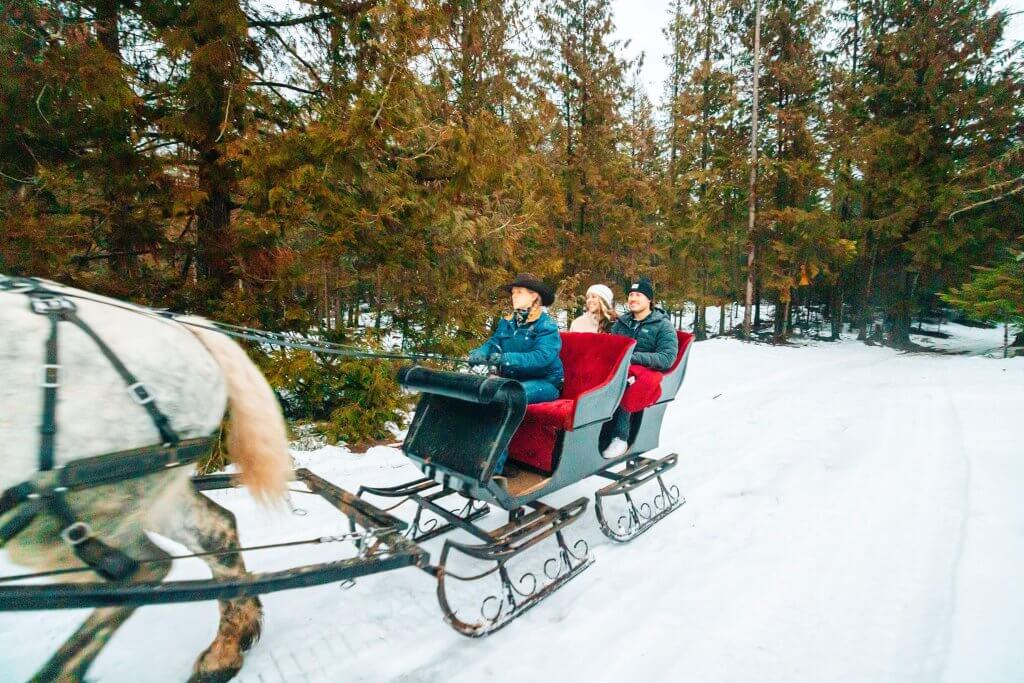 Two people enjoying a winter sleigh ride.