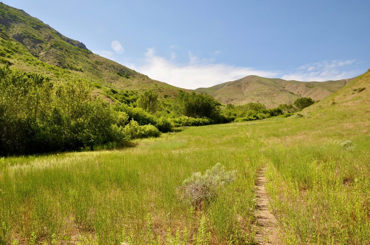 Macks creek trail