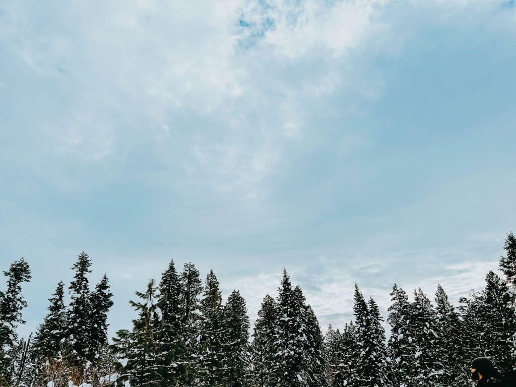 A bluebird winter day at Bear Basin Nordic Center in McCall.