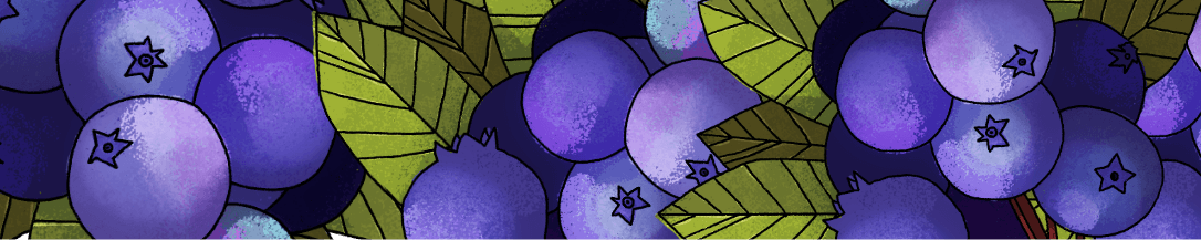 An illustration of clusters of huckleberries amidst leaves.