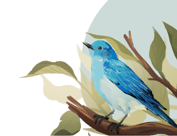 An illustration of a mountain bluebird perched on a tree branch with leaves.