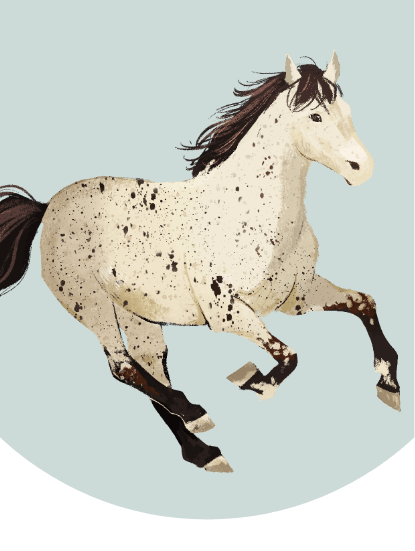 An illustration of a galloping Appaloosa horse.