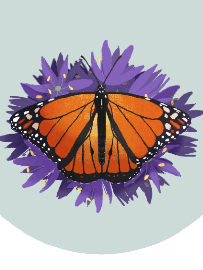 An illustration of a monarch butterfly resting on some purple flowers.