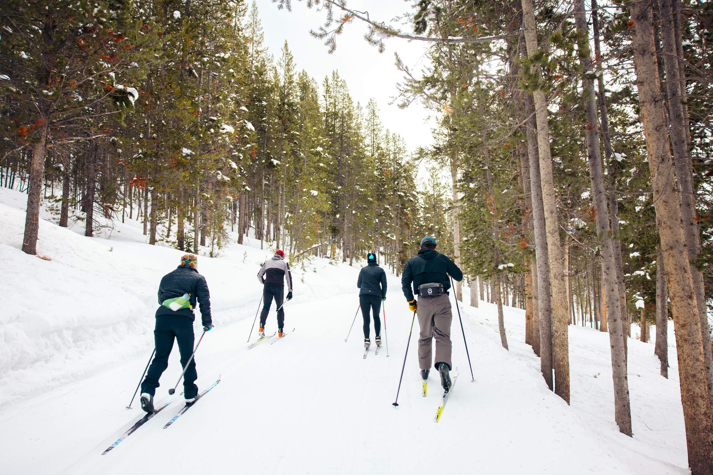 A group of four cross-country skiiers go Nordic skiing at Galena Lodge, surrounded by trees.