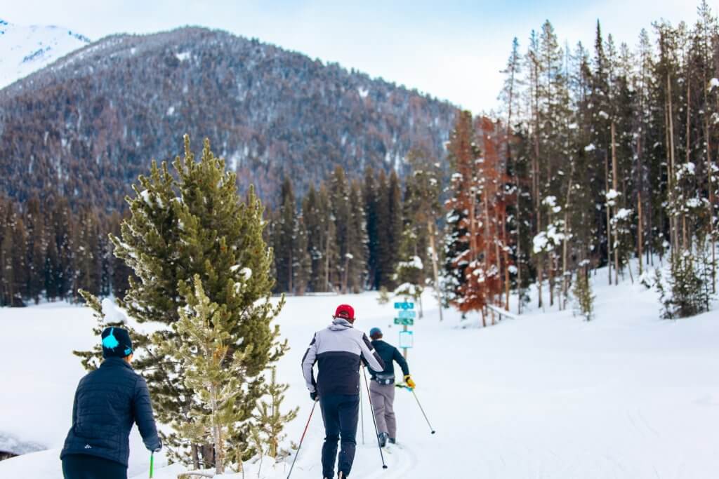 A trio of cross-country skiiers go Nordic skiing at Galena Lodge, headed into the trees.