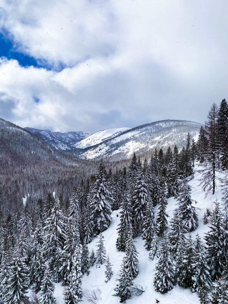 Snow-dusted trees line the trails heading up into the mountains at Lookout Pass Ski & Recreation Area.