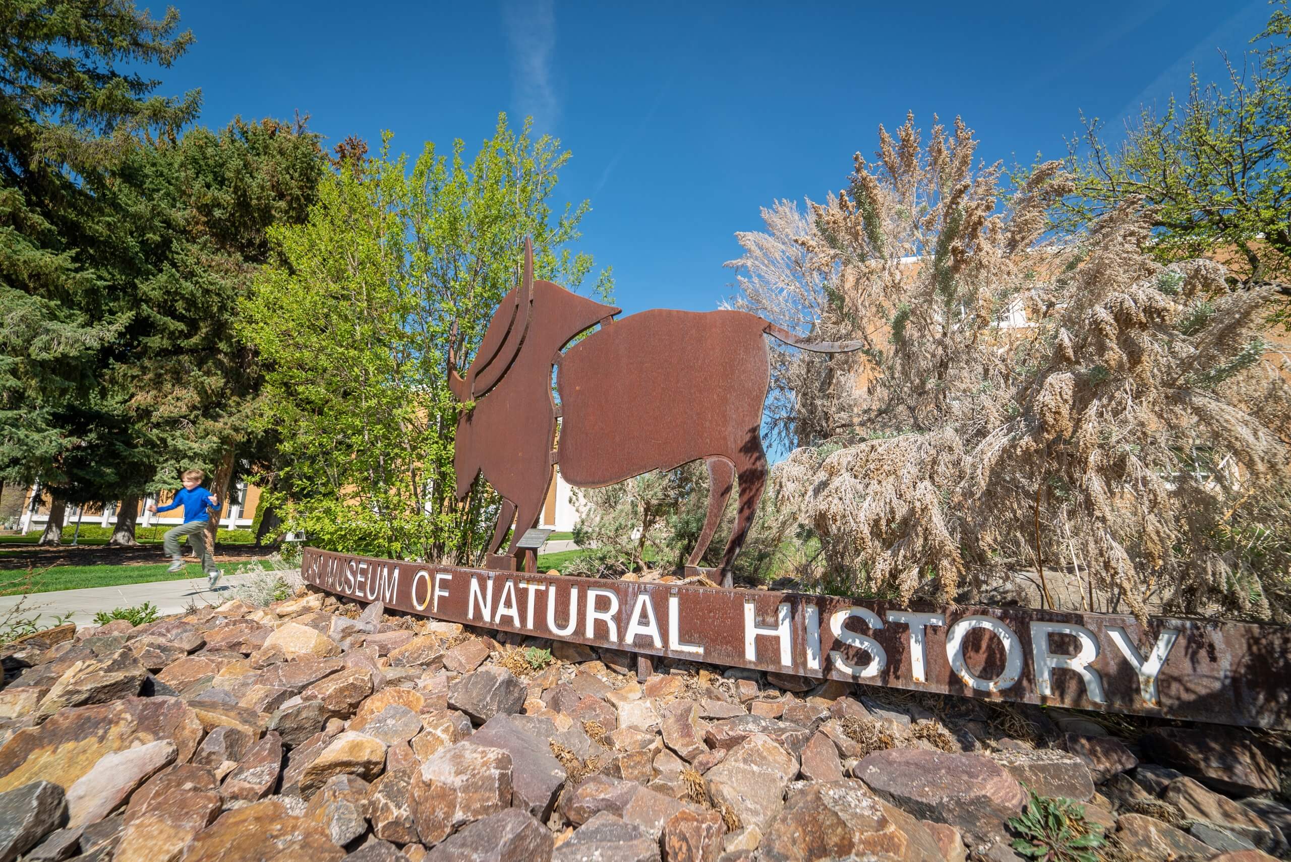 Idaho museum of natural history