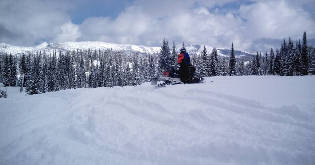 A man goes snowmobiling at Lolo Pass, looking at trees and mountains.