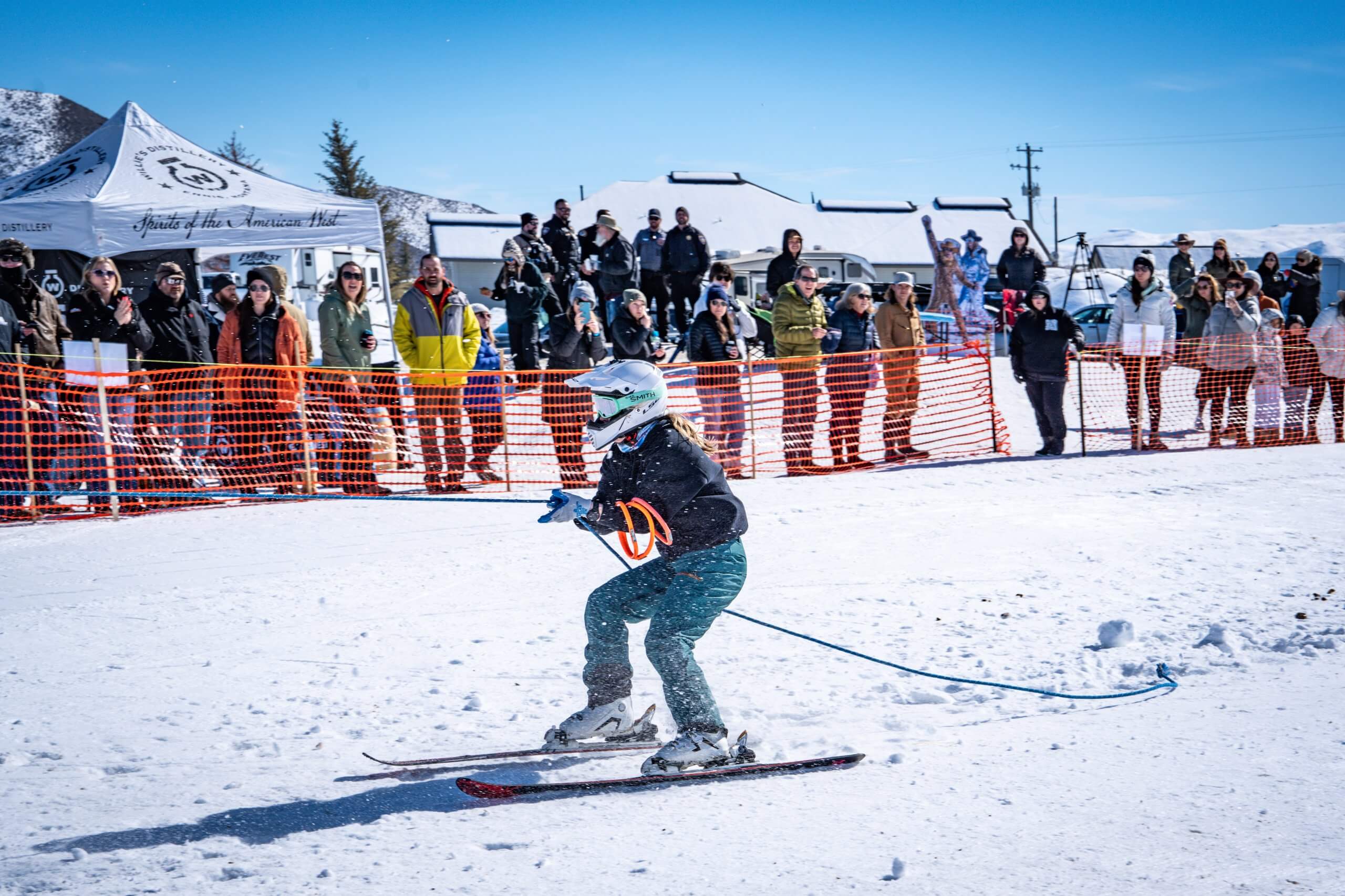 skier gets pulled by horse at skijoring event