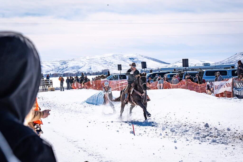 skier gets pulled by horse at skijoring event