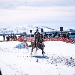 skier gets pulled by horse at skijoring event