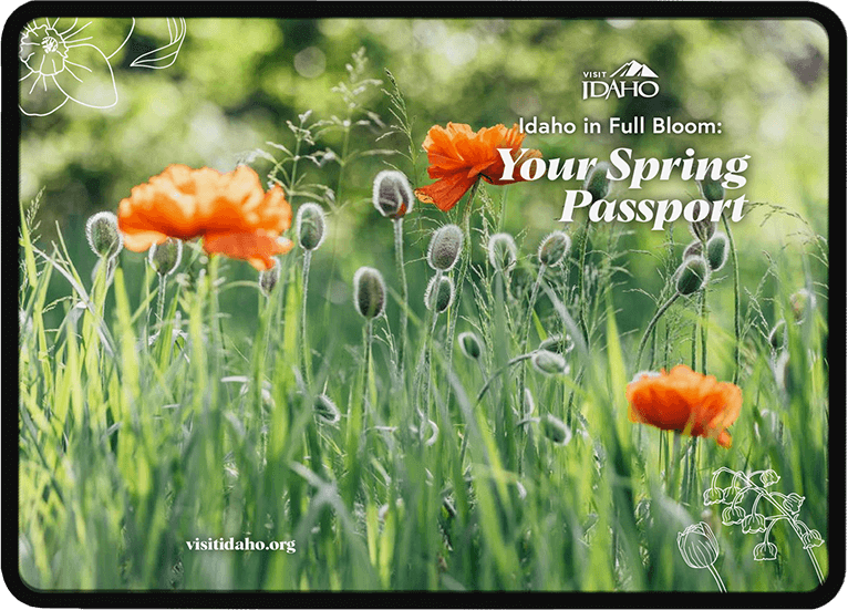 A field with red poppies swaying. The text reads, Idaho in Full Bloom, Your Spring Passport.