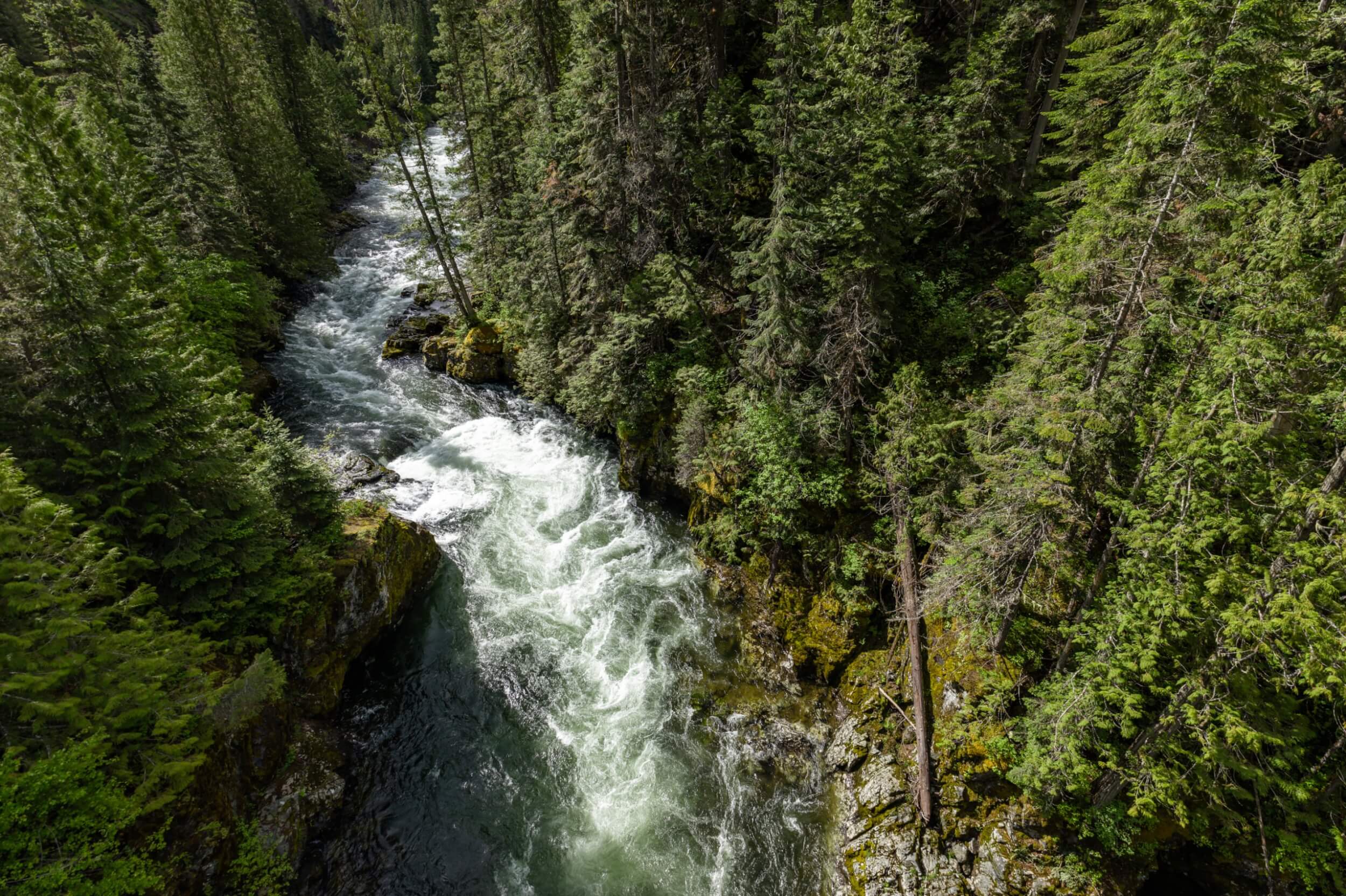 Aerial view of the St. Joe River cutting through dense forest and rocky canyon.