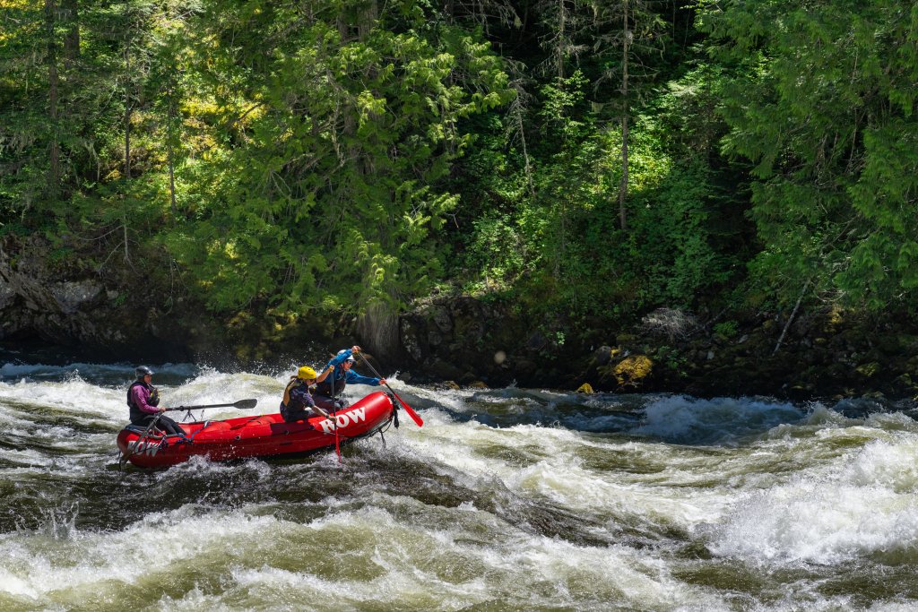Rafters navigating whitewater on the Lochsa River with ROW Adventures surrounded by lush forest