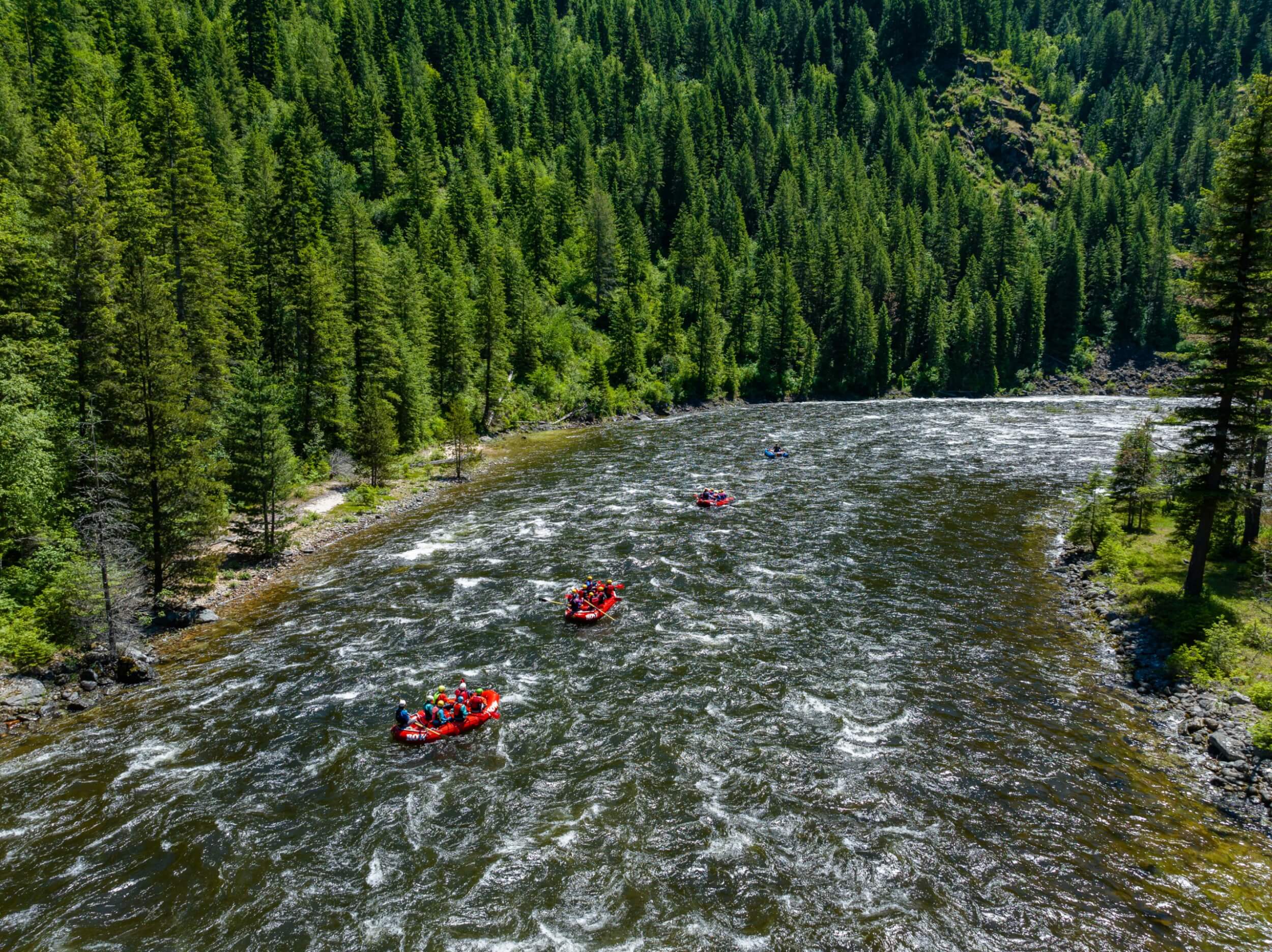 A group of red rafts floats down the Lochsa River through a densely forested canyon