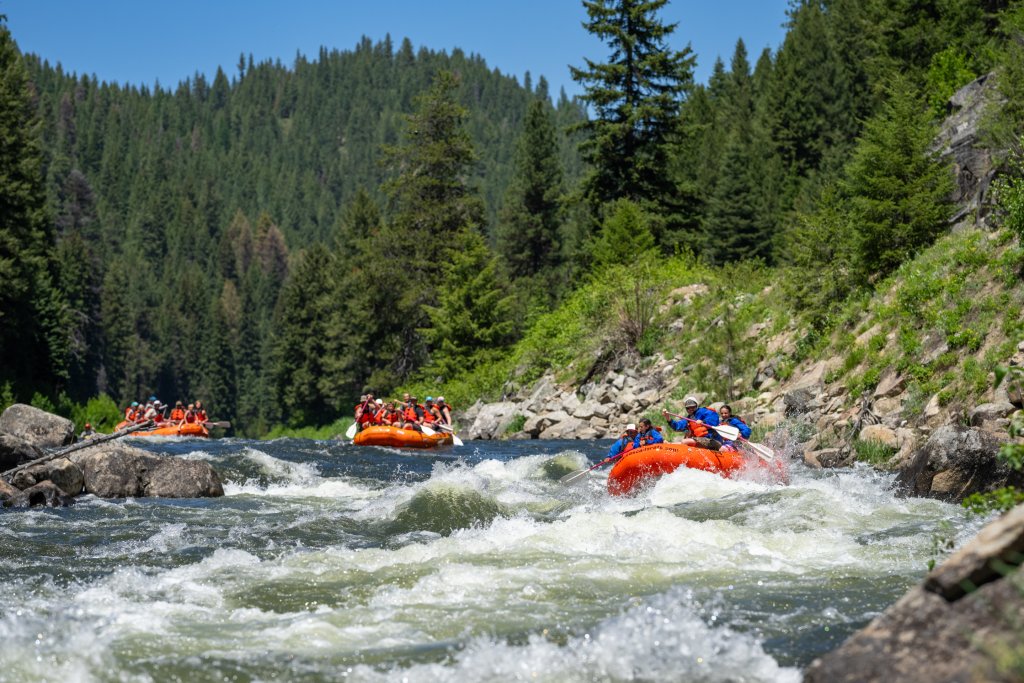Three rafts filled with people navigate a rapid on the Payette River, surrounded by lush evergreen forest.
