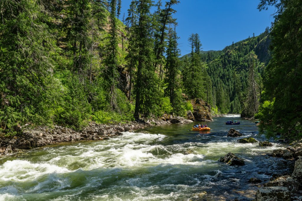 Group whitewater rafting on the Selway River with SOAR Northwest