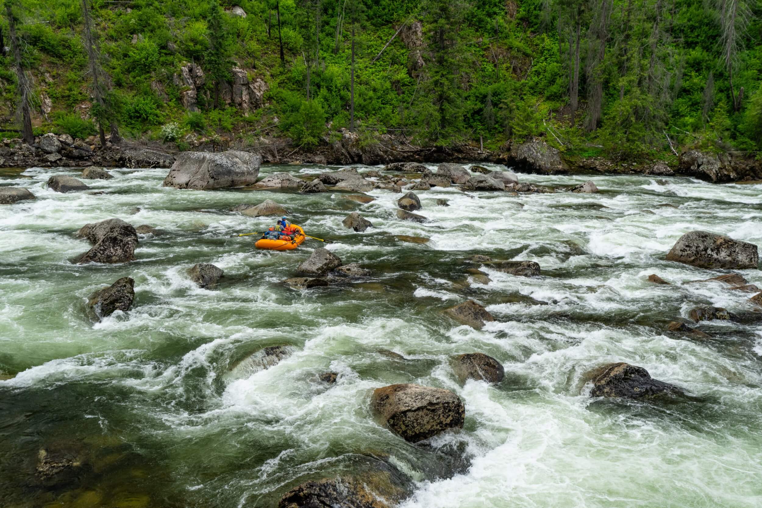Orange raft maneuvers through a rocky, technical section of the Selway River.