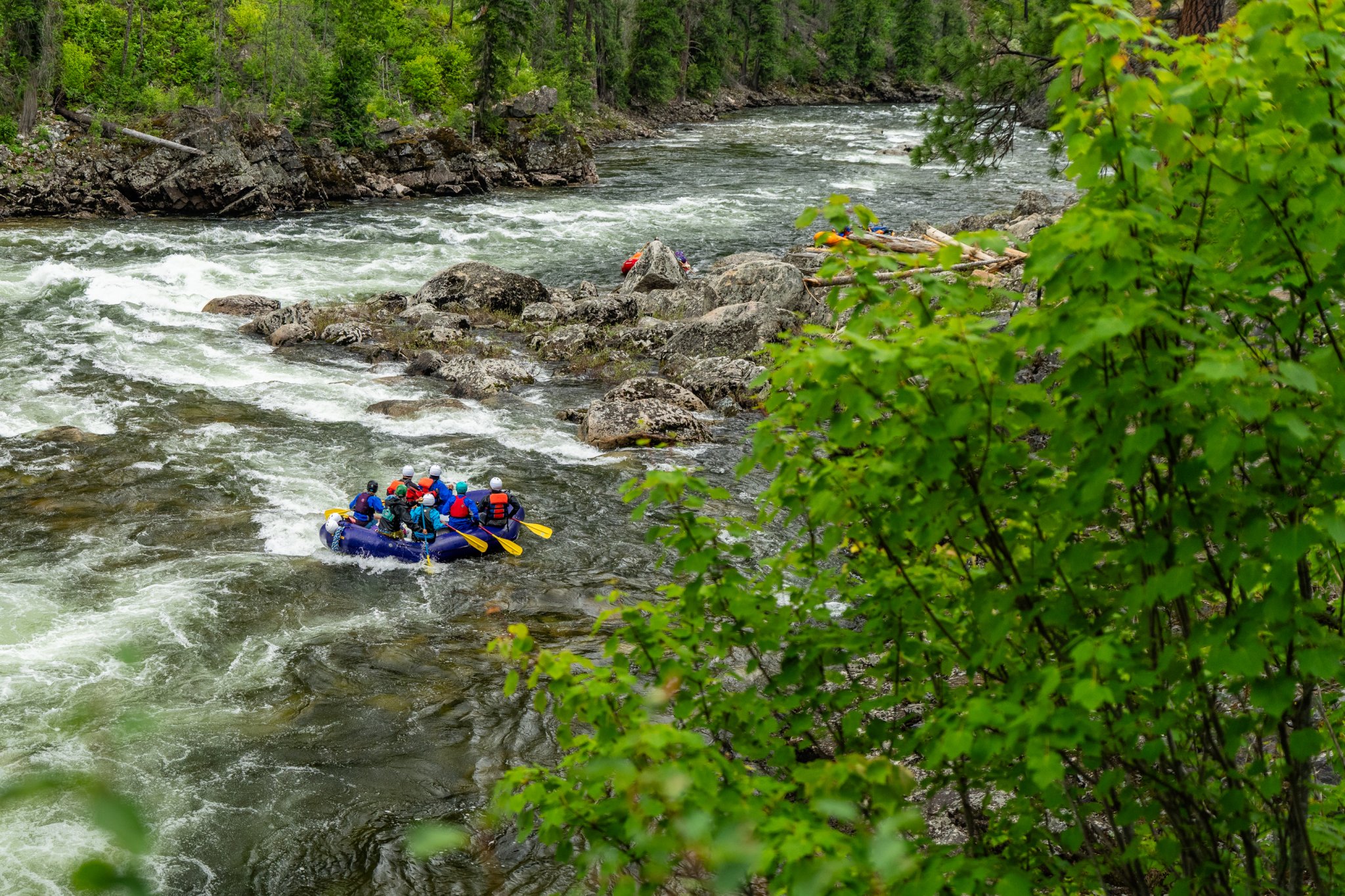 Selway Ricer Experience Idaho’s Wild Selway River in The 3100