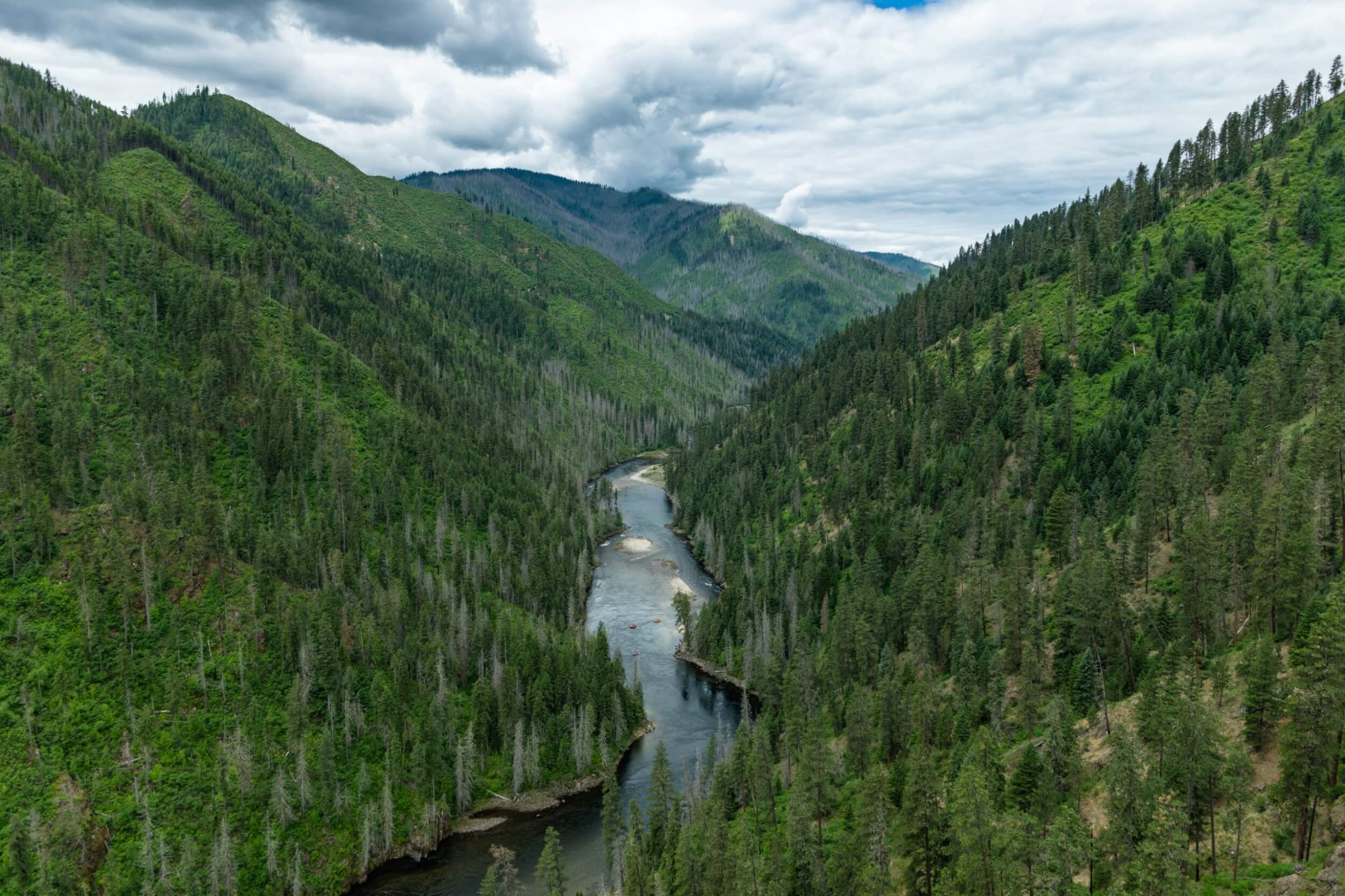 Aerial view of the Selway River winding through a lush, forested wilderness canyon.