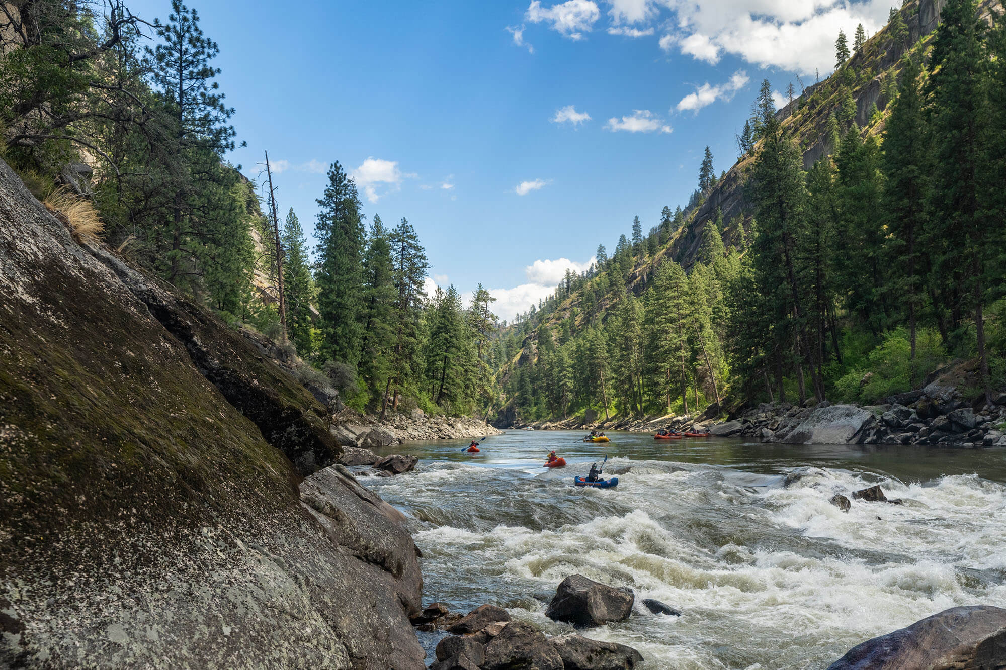 Adventurers go whitewater rafting and kayaking along the Main Salmon River with Orange Torpedo Trips, trees rising behind them.