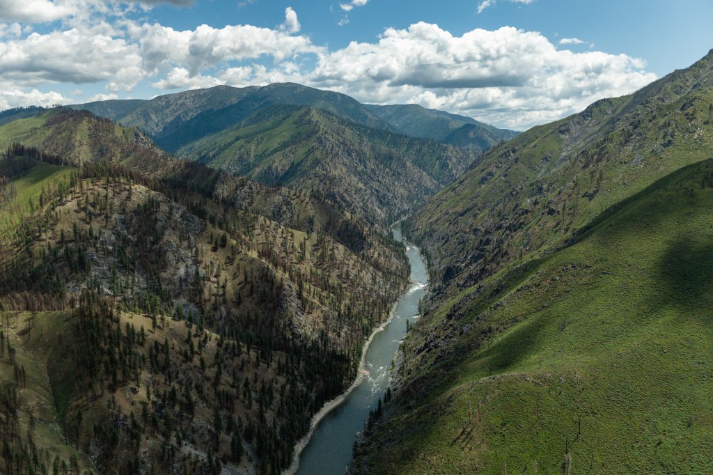 Aerial view of the Main Salmon River winding through rugged, forested canyon terrain