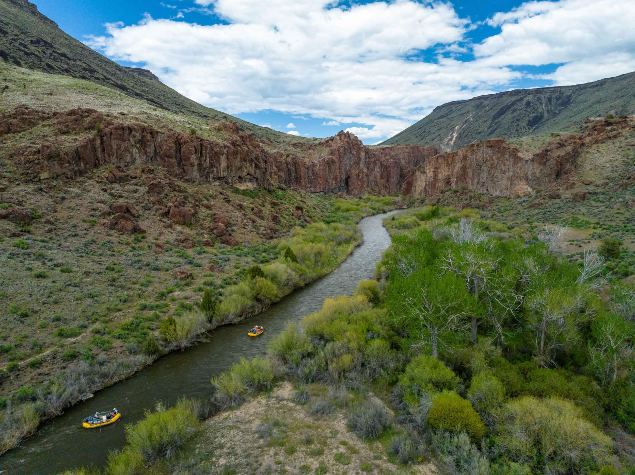 Rafters paddle past green shrubs and basalt cliffs along the Bruneau River.