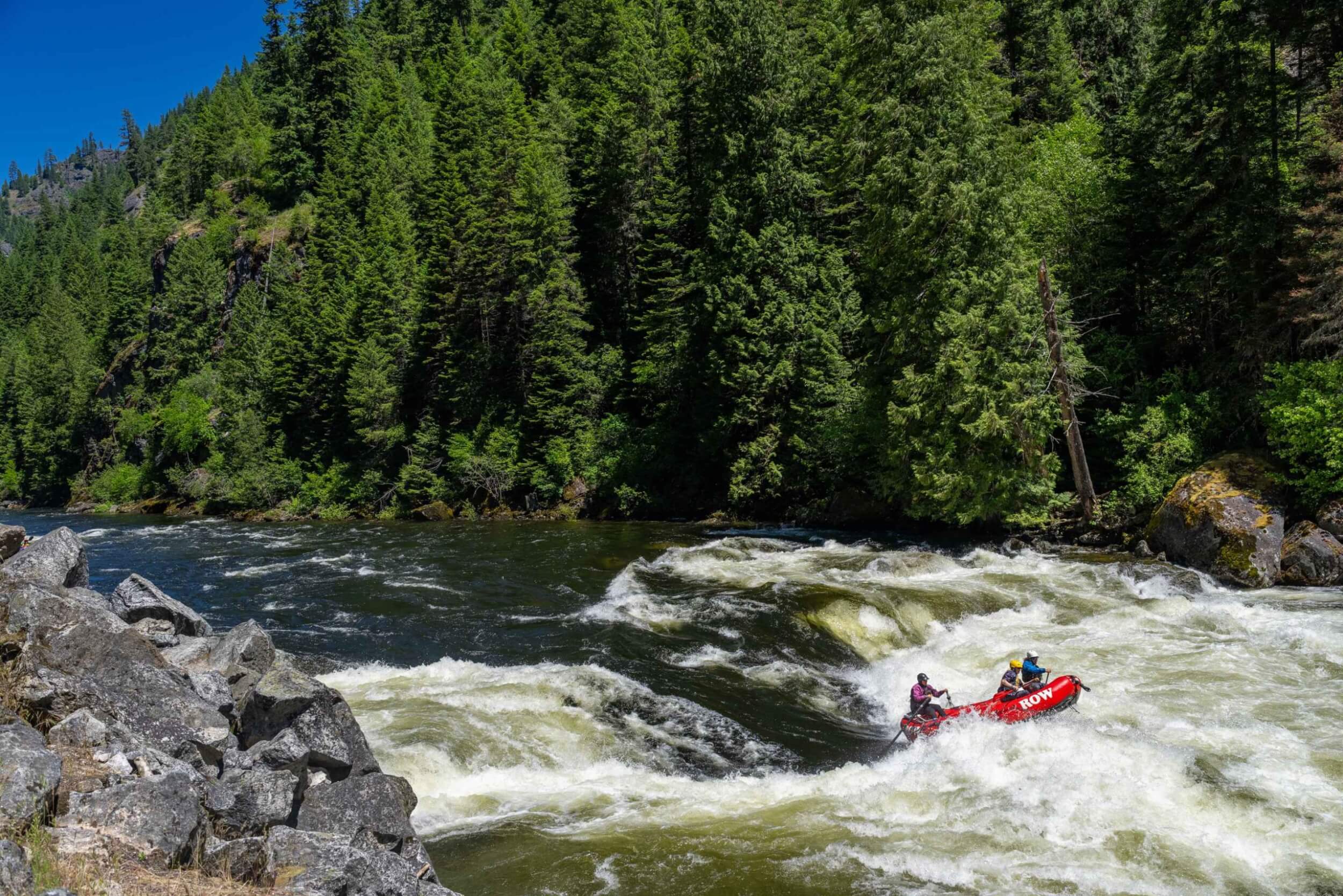 Red raft punches through whitewater while surrounded by dense forest