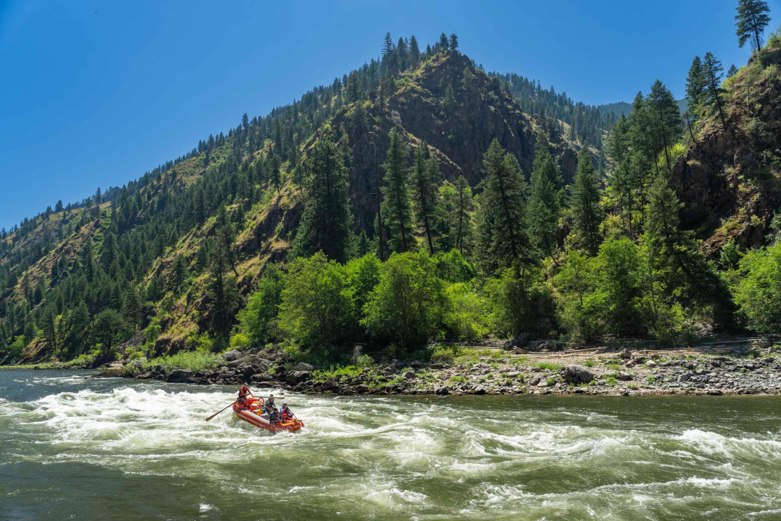 Rafters paddling through a wave train with tree-covered mountains in the background.