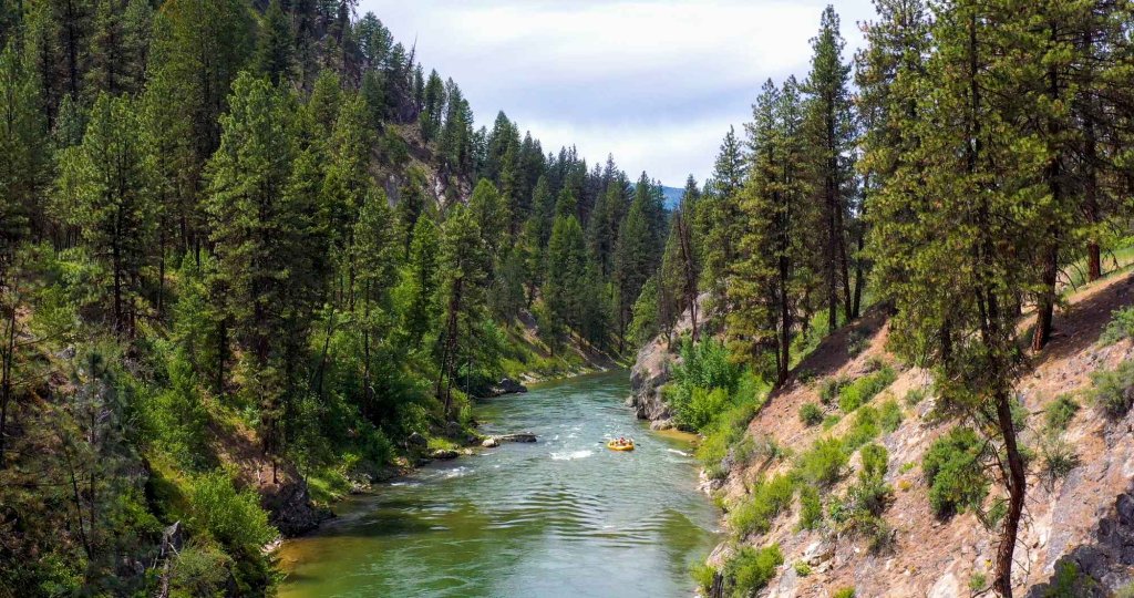 Rafters float down the South Fork of the Payette River, surrounded by pine-covered canyon walls.