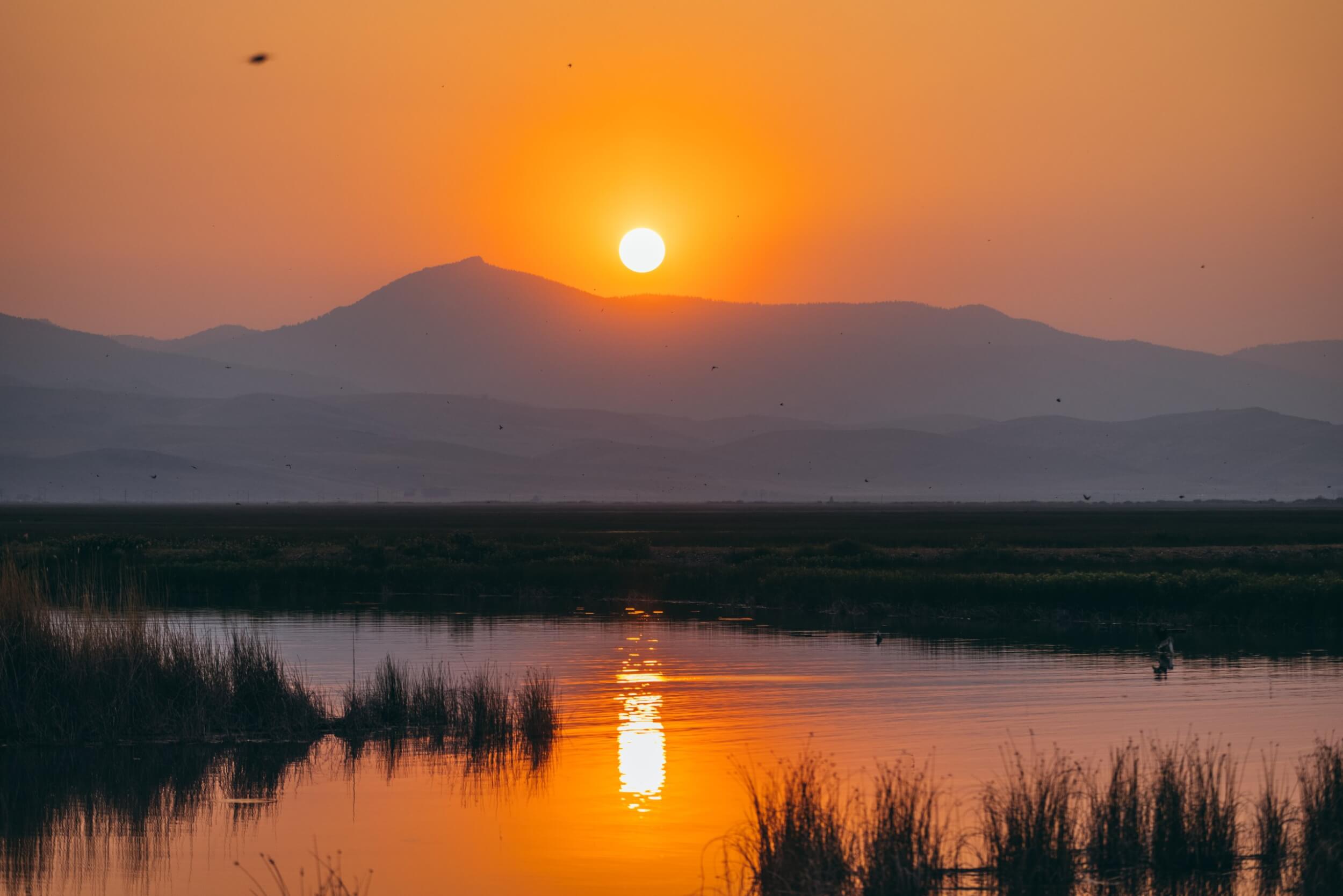Try These 7 Scenic Byways to Find Natural Wonders Bear Lake surrounded by fields and tall grass and fields of grass, and the sun setting behind the mountains in the background.